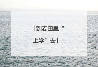 到麦田里“上学”去