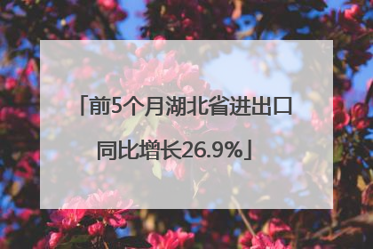 前5个月湖北省进出口同比增长26.9%
