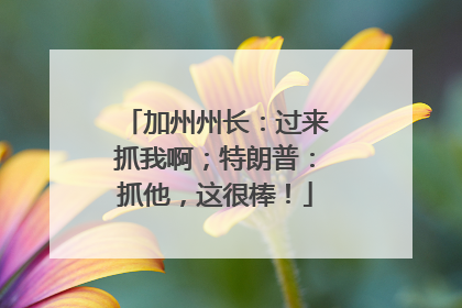 加州州长：过来抓我啊；特朗普：抓他，这很棒！