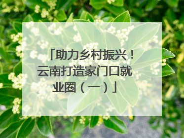 助力乡村振兴！云南打造家门口就业圈（一）
