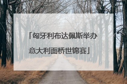 匈牙利布达佩斯举办意大利面桥世锦赛