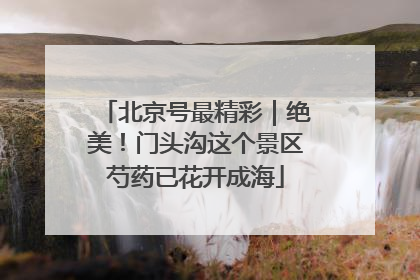 北京号最精彩｜绝美！门头沟这个景区芍药已花开成海