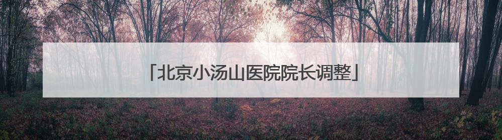 北京小汤山医院院长调整