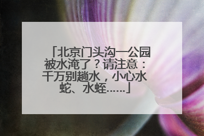 北京门头沟一公园被水淹了？请注意：千万别趟水，小心水蛇、水蛭……