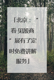 北京：“看·见殷商”展有了定时免费讲解服务