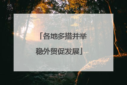 各地多措并举稳外贸促发展