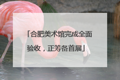 合肥美术馆完成全面验收，正筹备首展