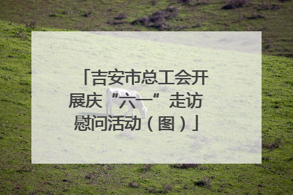 吉安市总工会开展庆“六一”走访慰问活动（图）
