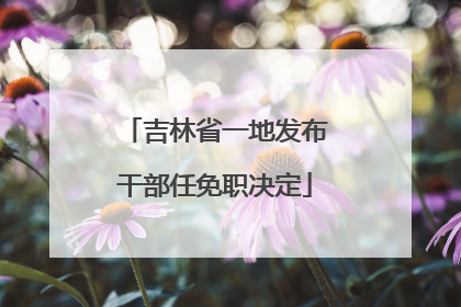 吉林省一地发布干部任免职决定