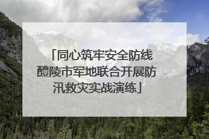 同心筑牢安全防线 醴陵市军地联合开展防汛救灾实战演练