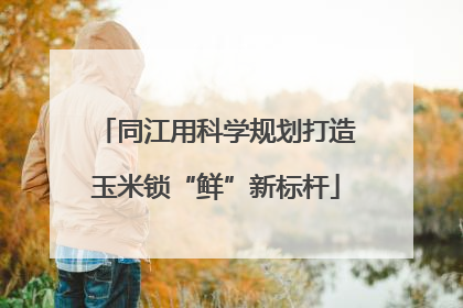 同江用科学规划打造玉米锁“鲜”新标杆