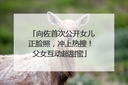 向佐首次公开女儿正脸照，冲上热搜！父女互动超甜蜜