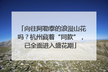 向往阿勒泰的浪漫山花吗？杭州藏着“同款”，已全面进入盛花期