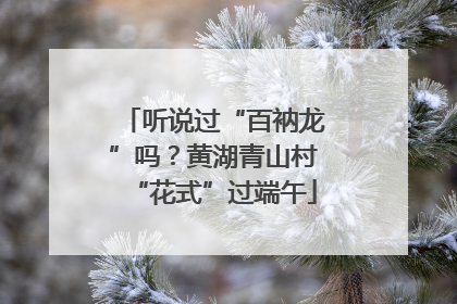 听说过“百衲龙”吗？黄湖青山村“花式”过端午