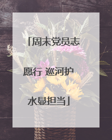 周末党员志愿行 巡河护水显担当