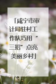 咸宁市审计局驻村工作队巧用“三招”点亮美丽乡村