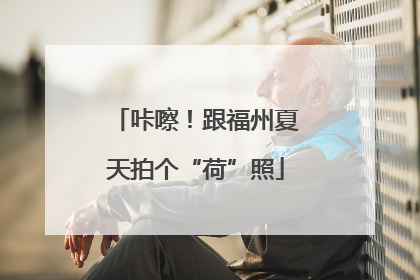 咔嚓！跟福州夏天拍个“荷”照