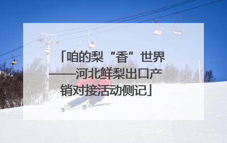 咱的梨“香”世界——河北鲜梨出口产销对接活动侧记