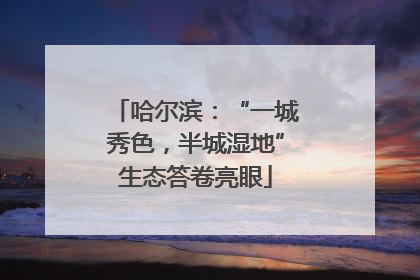 哈尔滨：“一城秀色，半城湿地”生态答卷亮眼