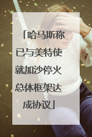 哈马斯称已与美特使就加沙停火总体框架达成协议