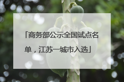 商务部公示全国试点名单，江苏一城市入选