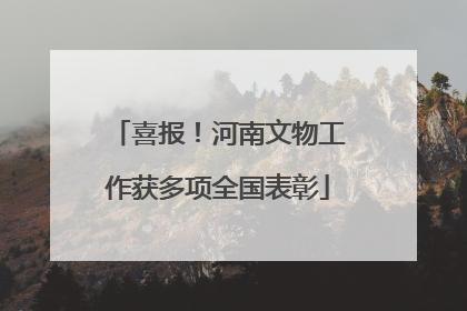 喜报！河南文物工作获多项全国表彰