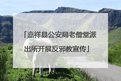 嘉祥县公安局老僧堂派出所开展反邪教宣传