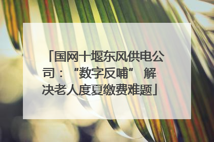 国网十堰东风供电公司：“数字反哺” 解决老人度夏缴费难题