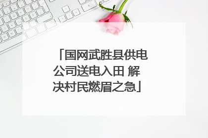 国网武胜县供电公司送电入田 解决村民燃眉之急