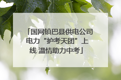 国网镇巴县供电公司 电力“护考天团”上线 温情助力中考