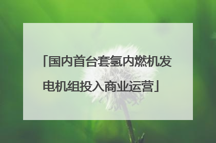 国内首台套氢内燃机发电机组投入商业运营