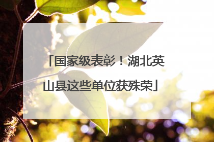 国家级表彰！湖北英山县这些单位获殊荣