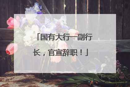 国有大行一副行长，官宣辞职！