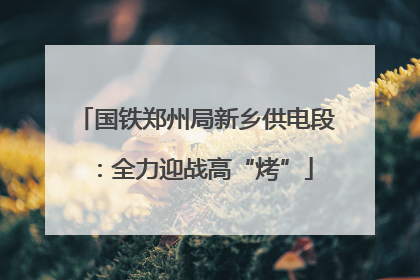 国铁郑州局新乡供电段：全力迎战高“烤”