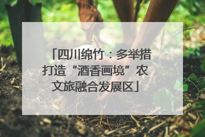 四川绵竹：多举措打造“酒香画境”农文旅融合发展区