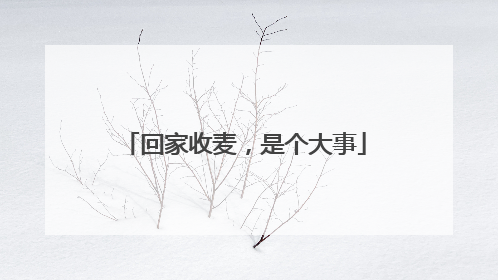 回家收麦，是个大事