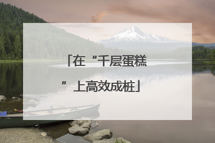 在“千层蛋糕”上高效成桩