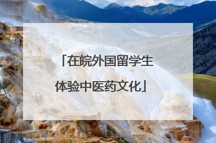在皖外国留学生体验中医药文化