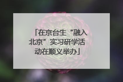 在京台生“融入北京”实习研学活动在顺义举办