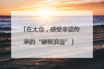 在太仓，感受非遗传承的“硬核浪漫”