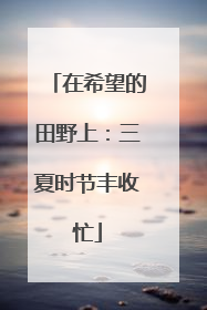 在希望的田野上：三夏时节丰收忙