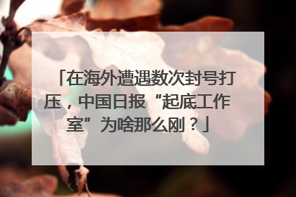 在海外遭遇数次封号打压，中国日报“起底工作室”为啥那么刚？