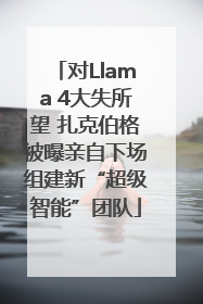 对Llama 4大失所望 扎克伯格被曝亲自下场组建新“超级智能”团队