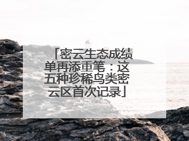 密云生态成绩单再添重笔：这五种珍稀鸟类密云区首次记录