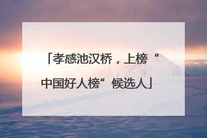 孝感池汉桥，上榜“中国好人榜”候选人