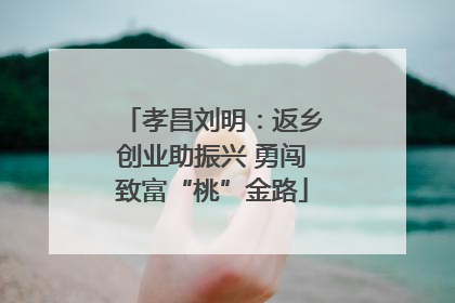 孝昌刘明：返乡创业助振兴 勇闯致富“桃”金路