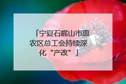 宁夏石嘴山市惠农区总工会持续深化“产改”