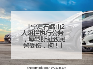 宁夏石嘴山2人阻拦执行公务，辱骂撕扯致民警受伤，拘！