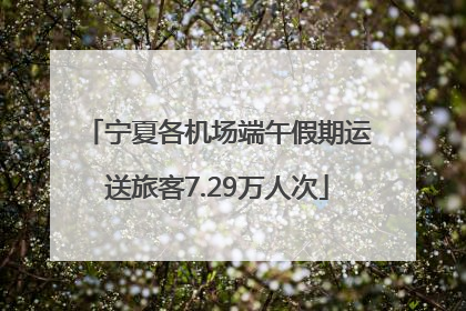 宁夏各机场端午假期运送旅客7.29万人次
