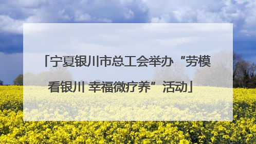 宁夏银川市总工会举办“劳模看银川 幸福微疗养”活动